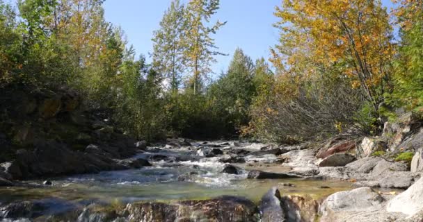 Vue Rapprochée Niveau Surface Eau Coulant Vers Bas Surface Rocheuse — Video