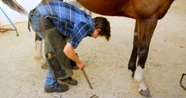 High Angle View Young Woman Short Hair Polishing Horseshoe Horse — Stock Video