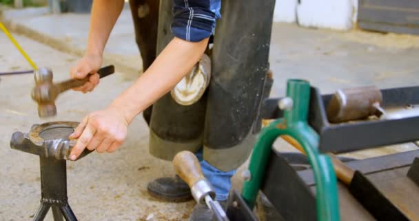 一名女金属匠在两腿之间保持马腿的时候 在稳定的情况下塑造马蹄铁的中段 — 图库视频影像