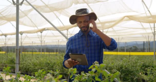 Vista Frontal Del Hombre Hablando Por Teléfono Móvil Granja Arándanos — Vídeo de stock