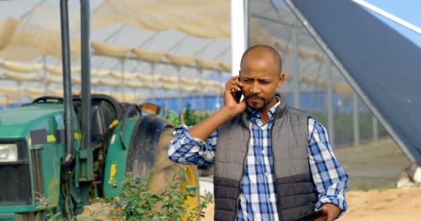 Человек Идет Замедленной Съемке Разговаривая Мобильному Телефону Черничной Ферме Солнечный — стоковое видео