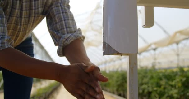 Blueberry Çiftlik Onun Ellerinde Temizlemek Için Sabun Dispenseri Kullanan Etnik — Stok video