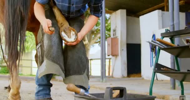 Vista Frontal Una Joven Con Pelo Corto Poniendo Herradura Pata — Vídeos de Stock