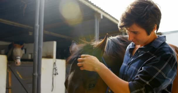 Portret Młodej Kobiety Krótkimi Włosami Głaskanie Konia Stajni Samica Jest — Wideo stockowe