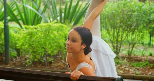 Женщина Балерина Делает Упражнения Растяжку Скамейке Изящно Позируя Парке — стоковое видео