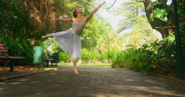 公園で踊る若いバレリーナ は緑の木々 に囲まれた日当たりの良い日に優雅に踊る — ストック動画