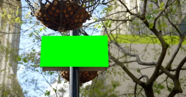 在城市街道上囤积铅 囤积4K 上的绿色屏幕显示 — 图库视频影像