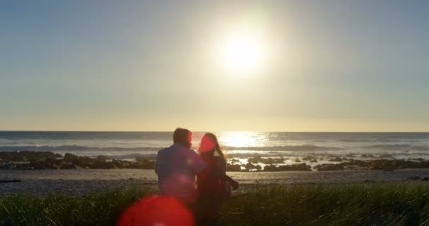 Vista Trasera Pareja Romántica Sentada Playa Hermoso Sol Brillante Playa — Vídeo de stock