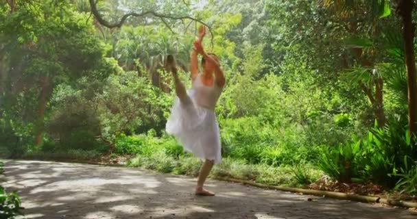 公園で踊る若いバレリーナ の木の緑に囲まれた日当たりの良い日オナが優雅に踊って — ストック動画