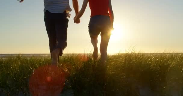 手を繋いでいると 海に向かって実行しているカップル のビーチに沈む夕日 — ストック動画
