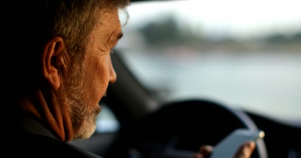 車で携帯電話で話しているビジネスマン の車に座っているビジネスマン — ストック動画