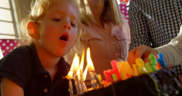 Gros Plan Fils Soufflant Des Bougies Anniversaire Père Pointant Main — Video