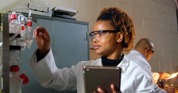 Female Worker Using Digital Tablet Glass Factory Female Worker Working — Stock Video