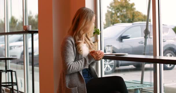 Молодая Женщина Пьет Кофе Кафе Красивая Женщина Смотрит Через Окно — стоковое видео