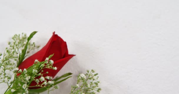 Κόκκινο Τριαντάφυλλο Λευκή Επιφάνεια Ημέρα Του Αγίου Βαλεντίνου Έννοια — Αρχείο Βίντεο