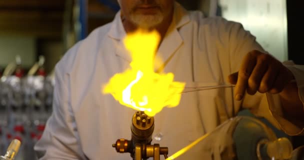 Vooraanzicht Van Volwassen Mannelijke Werknemer Glas Blazen Glasfabriek Volwassen Mannelijke — Stockvideo