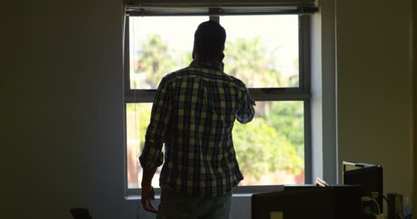 近代的なオフィスに携帯電話で話している男性エグゼクティブの後姿 の窓の近くのエグゼクティブの立っています — ストック動画