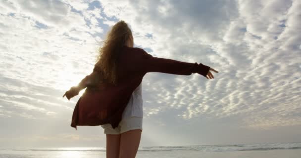 Widok Młodej Kobiety Tyłu Rozpostartymi Ramionami Patrząc Morze Przy Plaży — Wideo stockowe