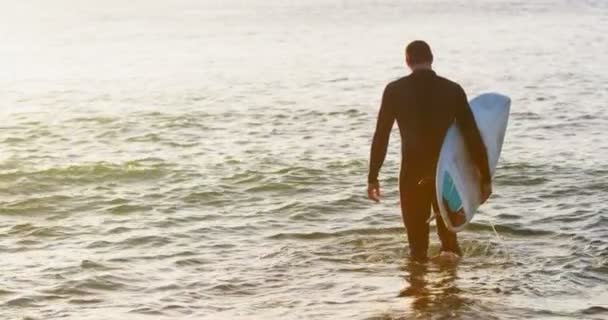 在日落时 成人中高加索男性冲浪者的后景与冲浪板在海上行走 平静的大海在背景4K — 图库视频影像