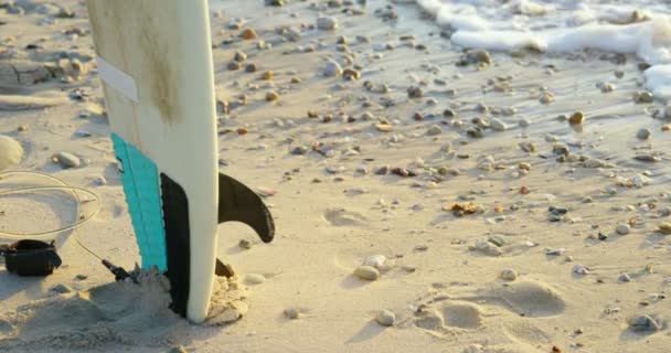 浜辺の砂にリーシュ立ってサーフボード ビーチ で海岸に波 — ストック動画