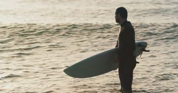 Seitenansicht Eines Erwachsenen Kaukasischen Surfers Mit Surfbrett Der Bei Sonnenuntergang — Stockvideo