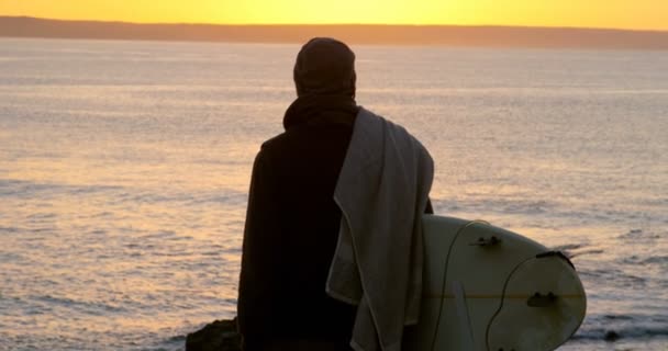 Achteraanzicht Van Halverwege Volwassen Man Met Surfplank Staande Buurt Van — Stockvideo