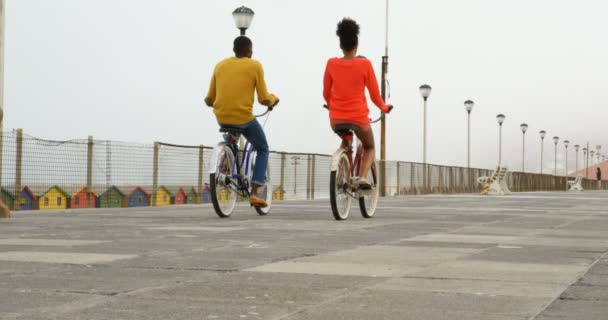 在阳光明媚的日子里 黑人夫妇在海滩的长廊上骑自行车的后景 夫妇在海滩4K 的乐趣 — 图库视频影像