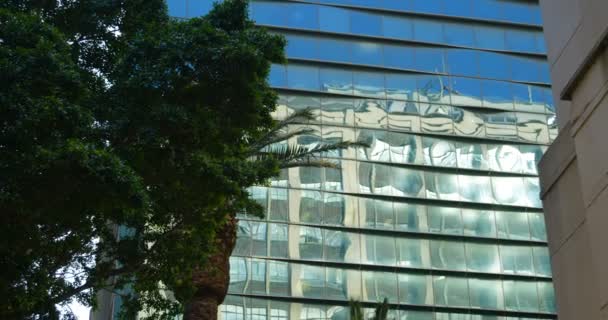 事務所ビルとツリーのローアングル ビュー 市における近代建築 — ストック動画