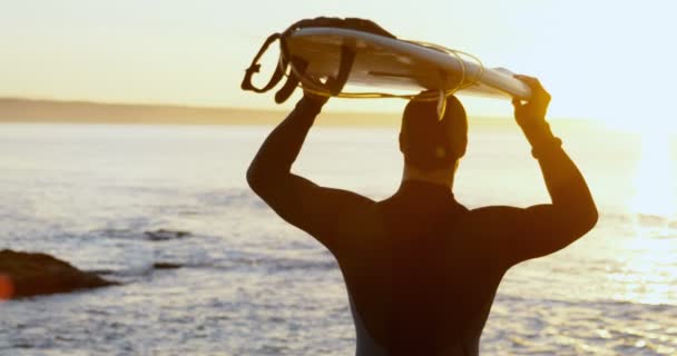 后视成人白种人男性冲浪者携带冲浪板在他的头在海滩上 美丽的日落在背景4K — 图库视频影像