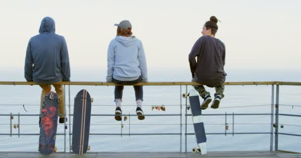 Bakifrån Unga Kaukasiska Skateboardåkare Med Skateboards Som Sitter Räcket Observationspunkt — Stockvideo