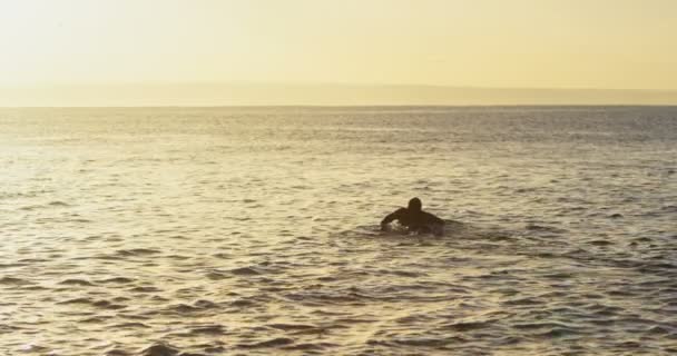 Dikiz Denizde Sörf Tahtası Üzerinde Günbatımı Sırasında Yüzme Yetişkin Beyaz — Stok video