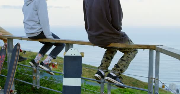 Bakifrån Unga Kaukasiska Skateboardåkare Med Skateboards Som Sitter Räcket Observationspunkt — Stockvideo