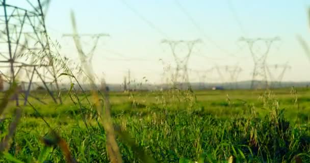 Tiempo Transcurrido Campo Verde Día Soleado Pilones Electricidad Fondo — Vídeos de Stock