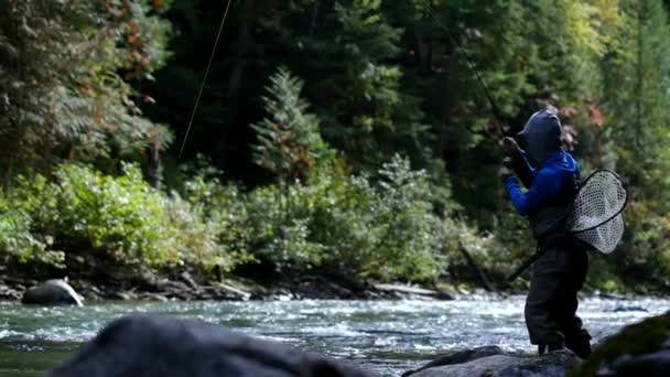 Вид Збоку Рибалки Риболовлю Лісовому Струмку Яскравий Сонячний День Рибалки — стокове відео