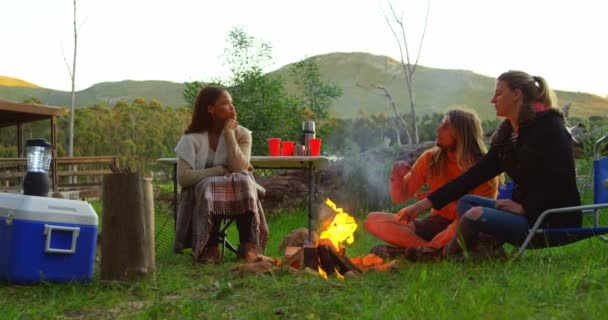 朋友们在篝火附近互相互动 朋友们一起在森林里露营4K — 图库视频影像