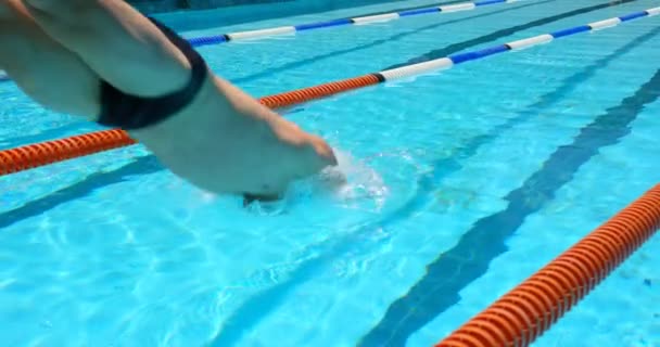 Mannelijke Zwemmer Springen Het Zwembad Man Zwemmen Onderwater — Stockvideo
