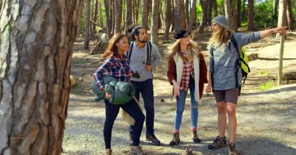 Ομάδα Φίλων Κατασκήνωση Στο Δάσος Φίλος Που Δείχνουν Φίλοι Του — Αρχείο Βίντεο