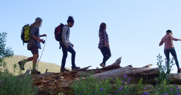 Група Друзів Гуляють Лісу Прекрасне Небо Фоні — стокове відео