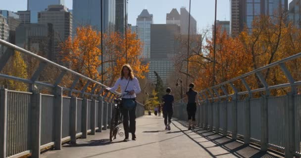 Vue Face Jeune Homme Caucasien Marchant Vélo Sur Pont Homme — Video