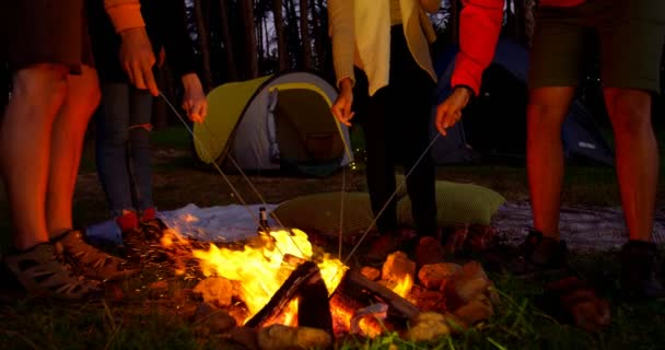 森の中のキャンプファイヤーに花火を照明の友人 で一緒にキャンプの友人 — ストック動画