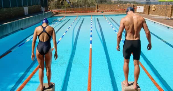 Nadador Masculino Femenino Preparándose Para Bucear Piscina Ambos Están Pie — Vídeos de Stock