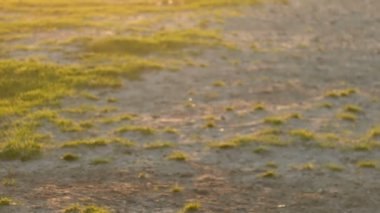 Çocuğu yere Futbol oynamaktan rahat. Çocuk futbol kafasına dayak