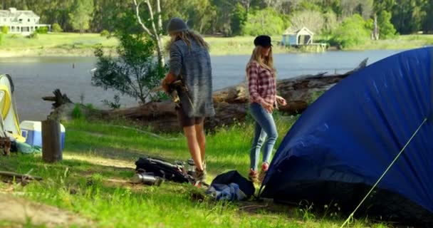 Pareja Acampando Bosque Día Soleado Hombre Llevando Palos Madera — Vídeo de stock