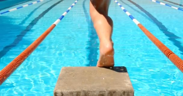女子水泳選手は水泳プールにジャンプします を泳ぐポーズで女性スタンド — ストック動画