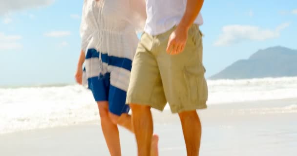 Vista Lateral Feliz Joven Caucásico Pareja Caminando Mano Playa — Vídeo de stock