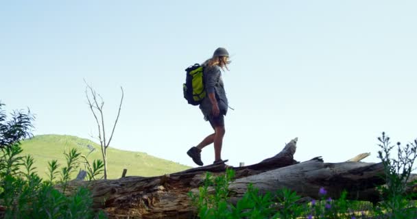 Vue Angle Bas Homme Marchant Travers Forêt Beau Ciel Arrière — Video