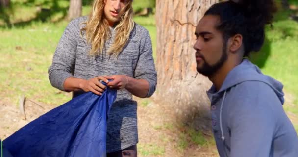 Amigos Montando Tenda Floresta Dia Ensolarado Amigos Acampar Floresta — Vídeo de Stock