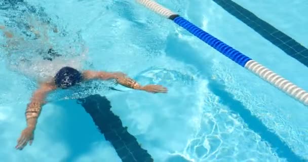 Nadador Masculino Nadando Dentro Piscina Homem Nadando Debaixo Água — Vídeo de Stock