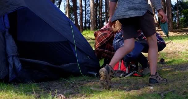 Meg Beállítása Sátor Erdőben Egy Napsütéses Napon Meg Erdő Camping — Stock videók