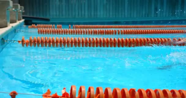 Mannelijke Zwemmer Binnenzwembad Zwemmen Man Zwemmen Onder Water — Stockvideo